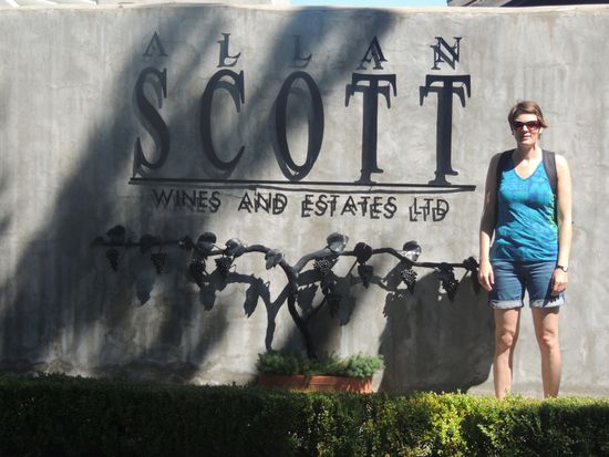 3. und letzte Station der Radtour: Weingut Allan Scott. Ergebnis: Chardonnay 2010 MARLBOROUGH (eher etwas für Eva )