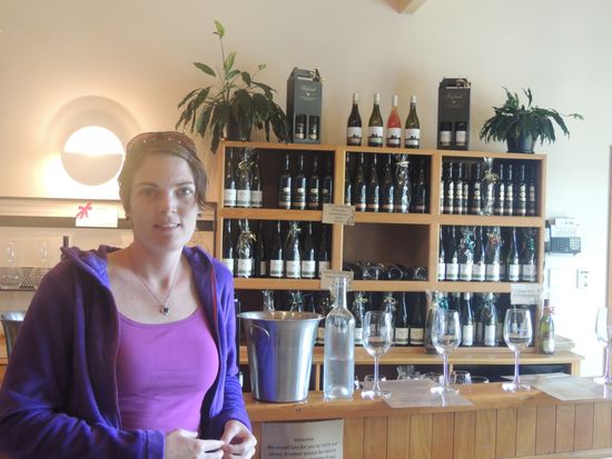 Weingut Seifried - der Verkostraum. Es gibt tolle Weissweine und GRÜNER VELTLINER!!