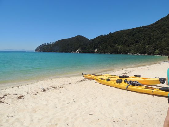 Auf Bark Bay warten zu Mittag bereits unsere Kayaks auf uns.