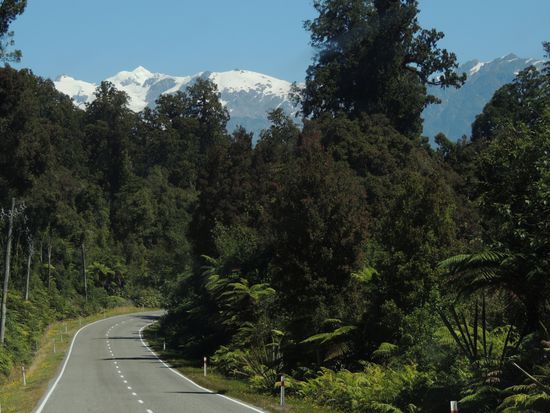 Am Weg zu den Gletschern der Southern Alps, man kann bereits die signifikante Spitze des Mount Tasman (3.498m) im Hintergrund erkenne.