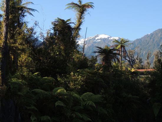 Es ist unwahrscheinlich, wie nahe Regenwald und Gletscher hier beisammen sind. Das ist der Blick von unserem Campingplatz Richtung Berg.