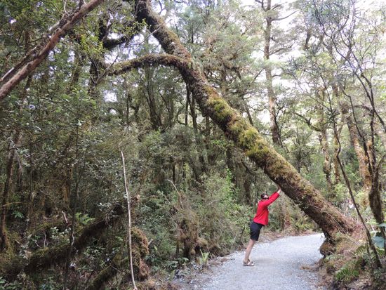 Gott sei Dank ist SuperWoman sooo stark und verhindert eine Katastrophe