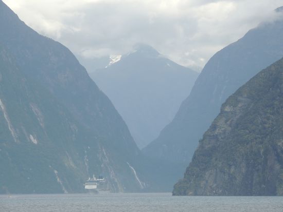 So allerdings schaut das Schiff aus, wenn es zwischen den steilen Wänden des Milford Sound fährt. Es ist unglaublich, wie die Perspektiven dort verschwimmen.