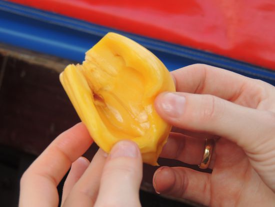 Frei nach Robert Lemke: "WAS BIN ICH??". Vorschläge sind erwünscht.