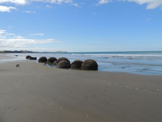 Moeraki Boulders: unerklärliche Felsformationen am Strand.