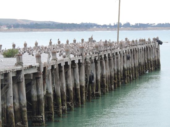 Alle warten auf die Ankunft .....................