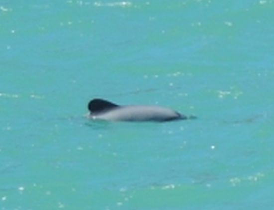 ... so sahen wir sie vom Boot aus ...