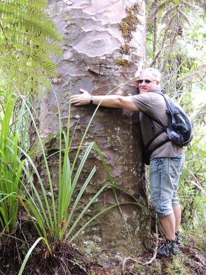 Der Waldschrat am Baum.