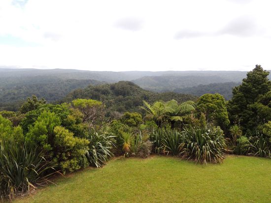 Blick ins Waipoua River Tal