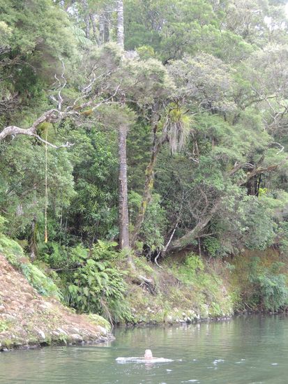 Natürliches Schwimmbecken im Waipoua River - etwas für Michael!!!