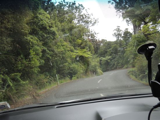 NZ Ralley: Eva mit "Topspeed" (für neuseeländische Verhältnisse und mit Automatik-Getriebe) durch den kurvigen Urwald