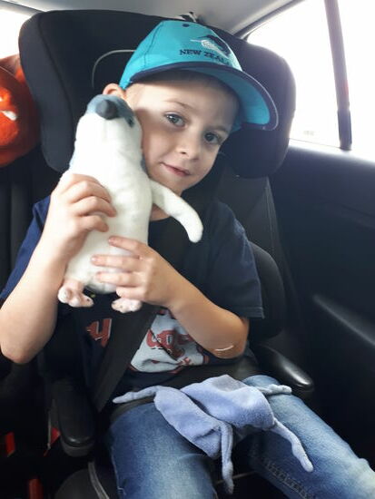 Ein neuer Reisegefährte - PINGI 