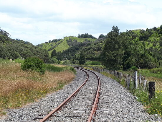 DIE Zugstrecke Auckland - Wellington