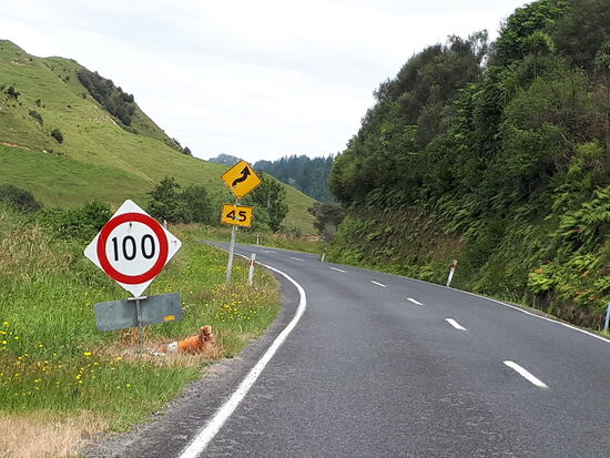 Du darfst, musst aber nicht 100 km/h fahren ...