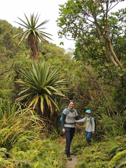 Am Weg zu den Dawson Falls