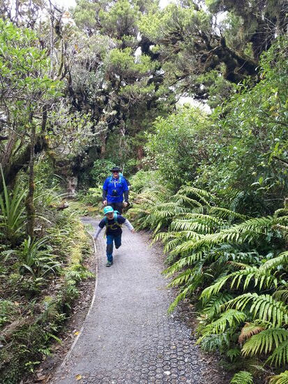 Dschungel-Walk zu den Pools