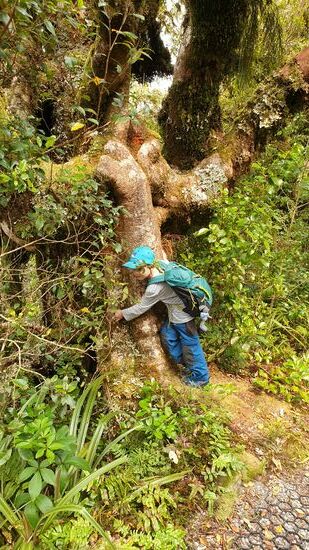 ... Hindernisse überwindend ...