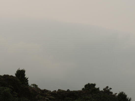 Nur mit viel Phantasie ...