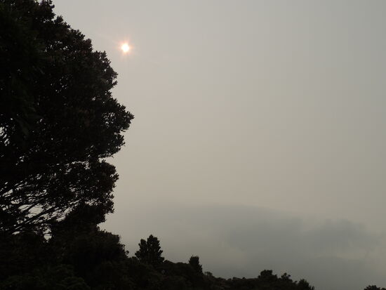 ... lässt sich da etwas erkennen, leider 