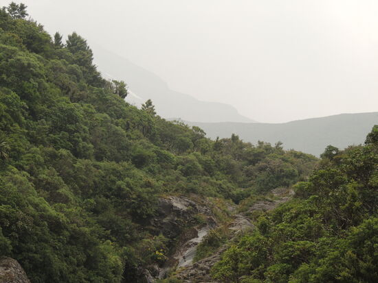 ... erreichen wir den Ausgangspunkt des Loop Walks zu den Wilkies Pools. Leider ist der Maount Taranaki inzwischen in einer großen dicken Wolken/Nebelbank verschwunden 