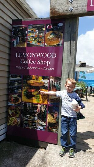 Mittagsstopp in Oakura