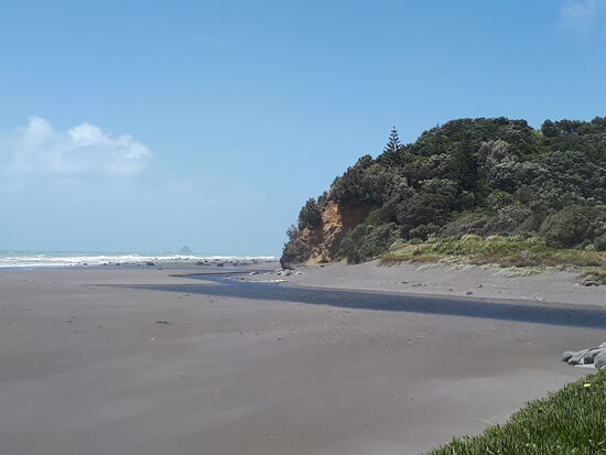 Oakura Beach: schwarzer Lavasand, aber ...