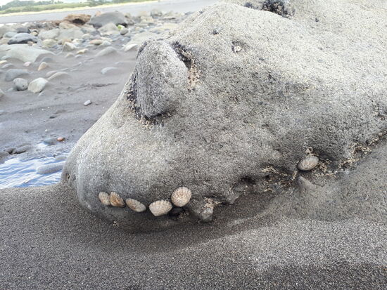 Wer liegt denn da???