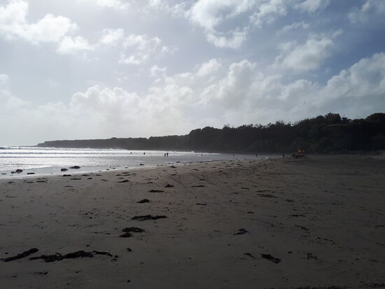 Opunake Beach: trotz bedrohlich wirkender Woklen lassen sich die Einheimischen nicht vom Baden abbringen, obwohl ...