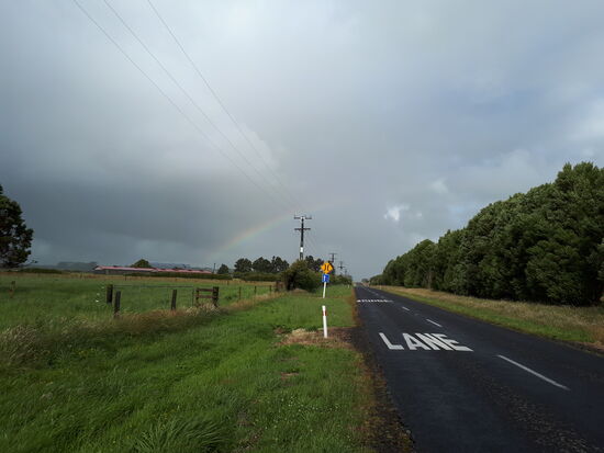Zeit für den Rückweg, da treffen wir auf bemerkenswert viele One Lane Bridges, auf denen die Fahrbahnen von 2 auf eine reduziert werden und im Normalfall der Vorrang geregelt wird.