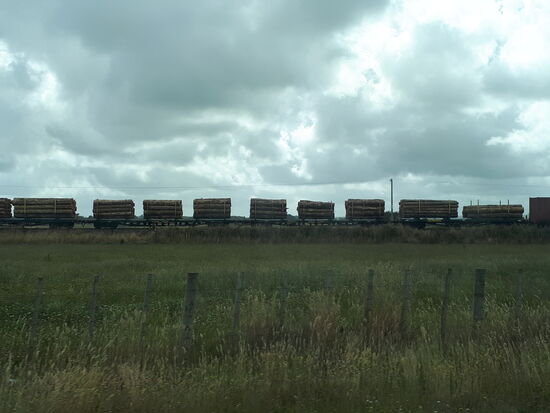 Ein Güterzug der KiwiRail  kreuz unseren Weg