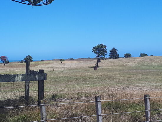 Weiterfahrt nach Whanganui - und wieder sieht die Umgebung ganz anders aus 