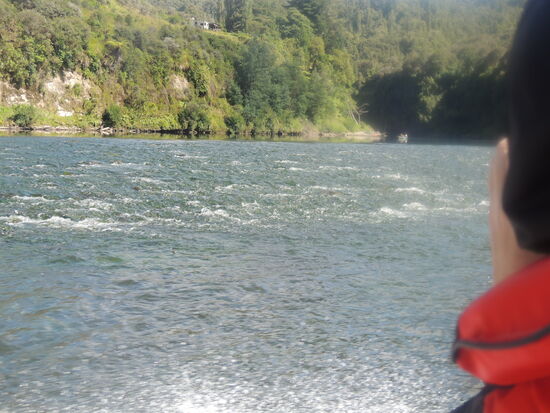 ... über die Stromschnellen 