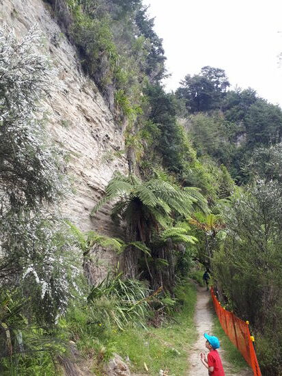 "Wie komm ich da rauf???"