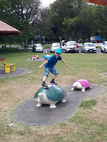 Turtle Rider 
