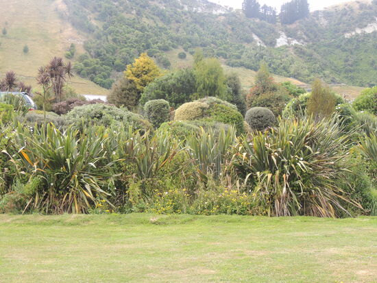 Auch hier üppoge Vetegation