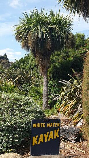 Vormittags - Wassersport