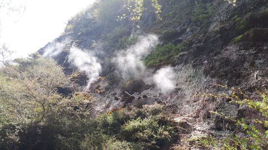 ... entweichen an verschiedensten Stellen ...