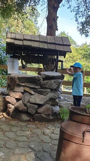 Fast wunschlos glücklich 