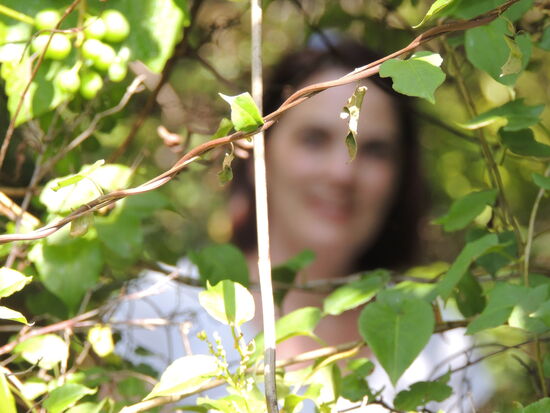 ... wilder Wein - und sanfte Frau ...