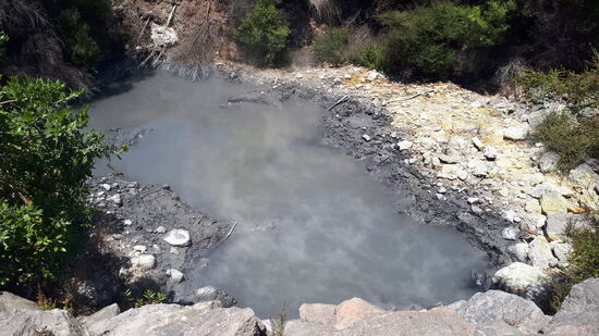 Mud Pool