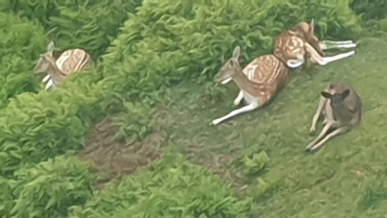 Mitten zwischen den Mountainbikern ...