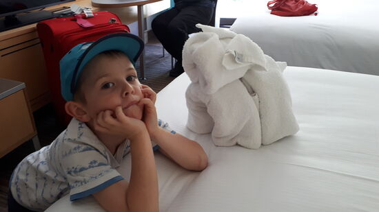 Daniels Handtuch-Hund