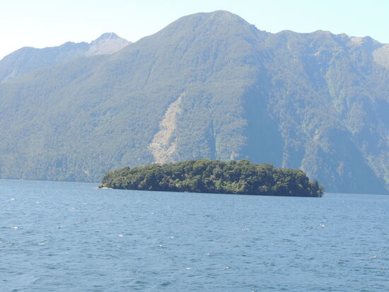 Bewaldete Abhänge und eine "Trevelange", eine Baum-Lawine