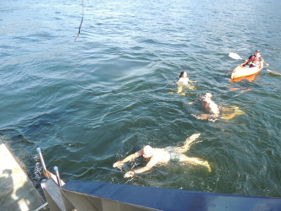 ... und jetzt rasch wieder an Bord , es ist recht frisch hier in der Tasmanischen See