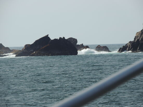 und so der Wellengang der Tasmanischen See