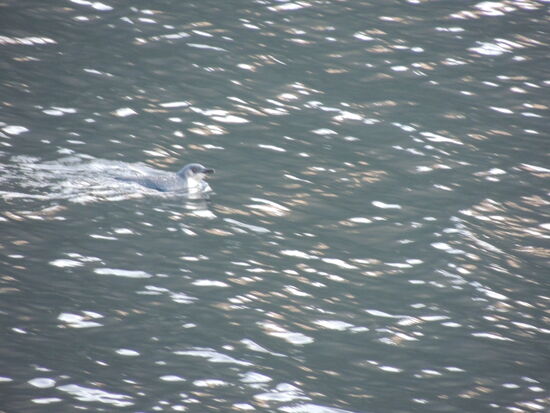 vor allem seine Verwandten 