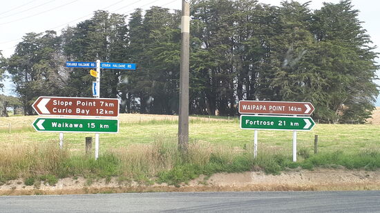 Wir nähern uns dem Tagesziel Curio Bay