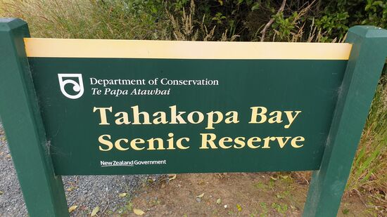 Wieder ein Zufallstreffer ...