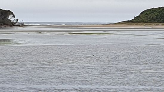 Ebbe in Tahakopa Bay