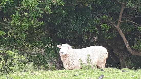 Wir werden beobachtet ...